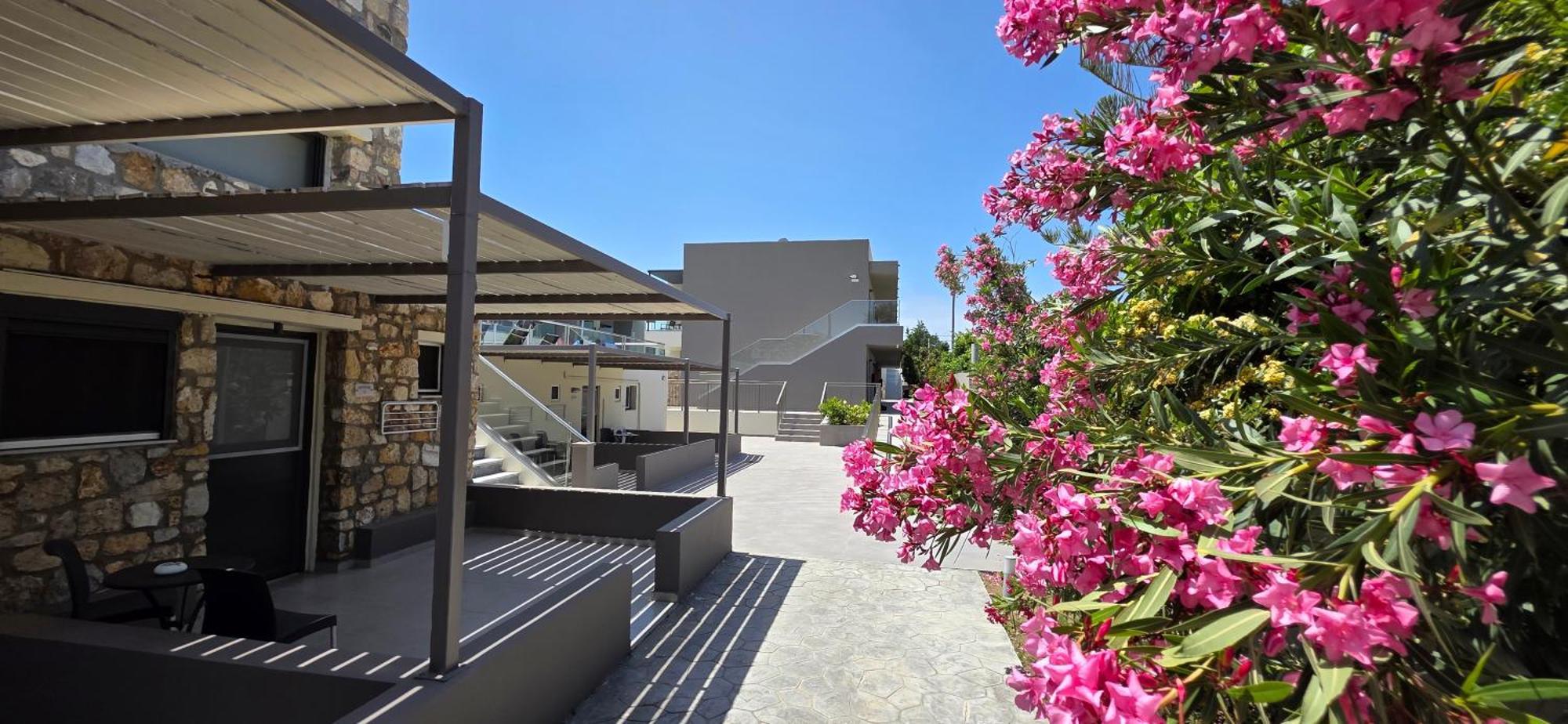 Cosmopolitan Hotel Extérieur photo